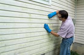 Storm Damage Siding Repair in Mamou, LA